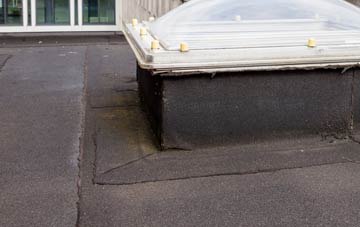 disadvantages of Burnt Tree flat roofs