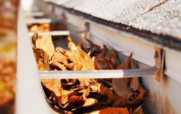 Burnt Tree gutter cleaning companies