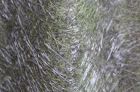 Burnt Tree fibreglass roof work